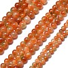 Natural Malaysia Jade Beads Strands G-L645-C01-14mm-29-2