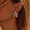 304 Stainless Steel Two Tone Stud Earrings FS-WG8A1D7-03-1