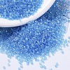 MIYUKI Delica Beads X-SEED-J020-DB1229-1