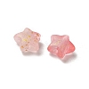 Frosted Acrylic Charms OACR-M023-04H-2