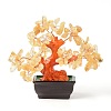 Natural Yellow Quartz Chips Money Tree Bonsai Display Decorations DJEW-B007-08C-1