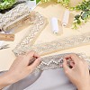 Mesh Embroidered Lace Trim OCOR-WH0073-48-3