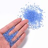 12/0 Round Glass Seed Beads SEED-US0003-2mm-166-4