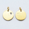316 Surgical Stainless Steel Pendants X-STAS-K178-06G-2