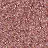 MIYUKI Round Rocailles Beads X-SEED-G008-RR0275-4