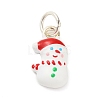 Christmas Themes Alloy Enamel Pendants LS-FIND-I063-01F-1