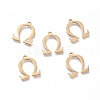 304 Stainless Steel Charms STAS-L263-20G-1