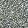 MIYUKI Round Rocailles Beads SEED-G007-RR3192-3