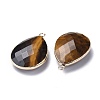 Faceted Natural Tiger Eye Pendants G-M356-A01-LG-2