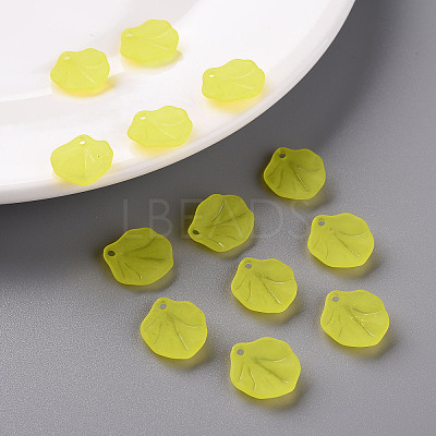 Transparent Frosted Acrylic Pendants MACR-S371-02A-717-1