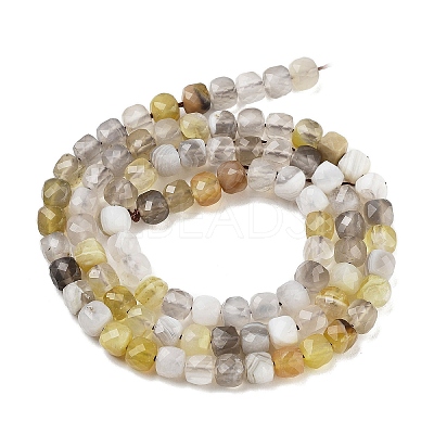 Natural Botswana Agate Beads Strands G-H042-A07-02-1