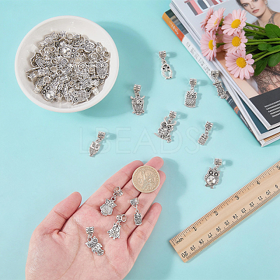 Alloy European Dangle Charms FIND-WH0199-493AS-1