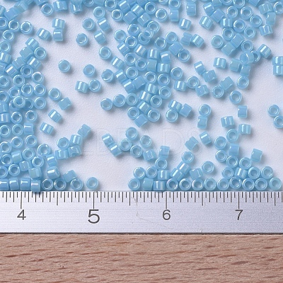 MIYUKI Delica Beads X-SEED-J020-DB0215-1