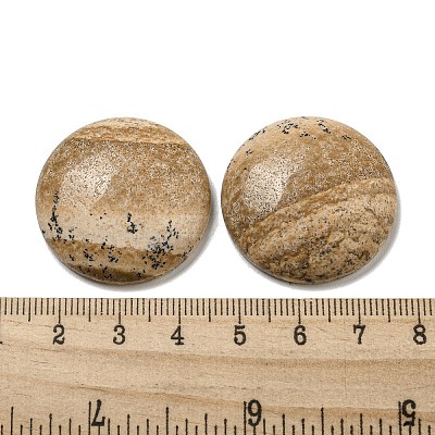 Natural Picture Jasper Cabochons G-C115-02B-22-1