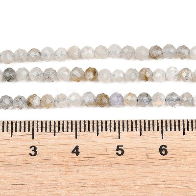 Natural Labradorite Beads Strands G-RM250104-A1-1