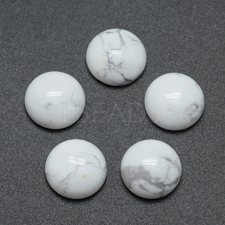 Natural Howlite Cabochons G-P393-R32-12mm-1