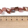 Dyed Natural Freshwater Shell Beads Strands SHEL-P016-01G-4