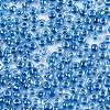 8/0 Glass Seed Beads SEED-A015-3mm-2216-2