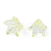 Transparent Acrylic Bead Caps OACR-H016-05C-4