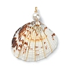 Natural Shell Copper Wire Wrapped Pendants PALLOY-TA00078-03-2