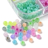 576Pcs 12 Colors Glass Seed Beads SEED-FS0001-25-3