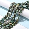 Natural African Turquoise(Jasper) Beads Strands G-P460-07-2