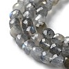 Natural Labradorite Beads Strands G-M421-B02-01-4