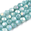 Opaque Frosted Glass Beads Strands EGLA-N006-076C-1