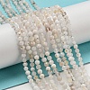 Natural Rainbow Moonstone Beads Strands X-G-A097-A02-03-2