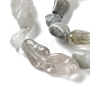 Natural Eagle Eye Stone Beads Strands G-P497-01C-14-4