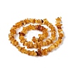 Natural Amber Chip Beads Strands X-G-E271-81-3