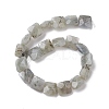 Natural Labradorite Beads Strands G-K359-B17-01-3