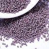 MIYUKI Delica Beads X-SEED-J020-DB1066-1