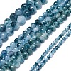 Natural Malaysia Jade Beads Strands G-L645-C01-10mm-24-2