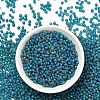 MIYUKI 3.4mm Drop Beads X-SEED-MY04-DP2405FR-4