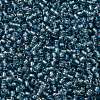 TOHO Round Seed Beads SEED-JPTR11-0275-2