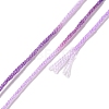 10 Skeins 6-Ply Polyester Embroidery Floss OCOR-K006-A34-3