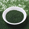 MIYUKI Round Rocailles Beads SEED-G007-RR0158F-1