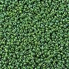 MIYUKI Round Rocailles Beads SEED-G007-RR0480-3