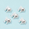 304 Stainless Steel Charms STAS-H413-13S-2