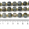 Natural Labradorite Beads Strands G-Q010-A25-01-5