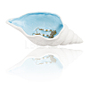 Gorgecraft 1Pc Conch Shape Porcelain Jewelry Plate AJEW-GF0008-53-1