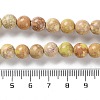 Dyed Natural Regalite/Imperial Jasper/Sea Sediment Jasper Beads Strands G-B124-C01-08-5