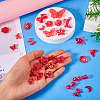 DIY Resin Beads & Pendants Jeweley Making Finding Kits RESI-TAC0011-78A-6