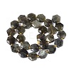 Natural Labradorite Beads Strands G-N368-01A-07-3