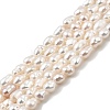 Natural Cultured Freshwater Pearl Beads Strands PEAR-I007-01O-01D-2