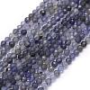 Natural Cordierite/Iolite/Dichroite Beads Strands G-E411-39-2mm-1