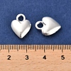 Long-Lasting Plated Alloy Charms PALLOY-A006-18S-3