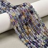 Natural Fluorite Beads Strands X-G-H320-A01-1