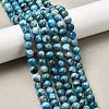 Natural Apatite Beads Strands G-G858-01B-01-5